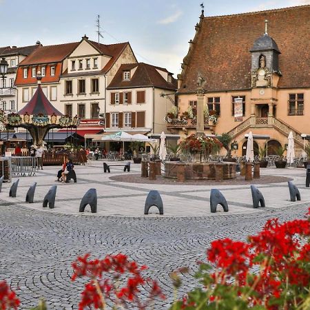 Studio Cosy A Molsheim Calme, Centre-Ville Et Acces Strasbourg Exterior photo